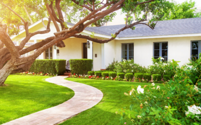3 Steps to Choosing the Right Tree Service